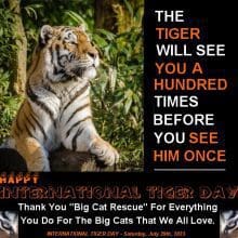 International Tiger Day