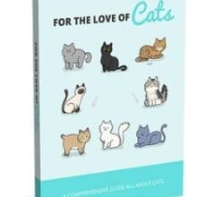 For The Love of Cats eBooks cover