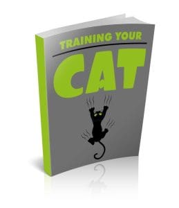 Product Description Get All The Support And Guidance You Need To Be A Success At Training Your Cat. This Book Is One Of The Most Valuable Resources In The World When It Comes To All The Strategies Behind Training Kitty. This Book Below Will Show You Exactly What What You Need To Do To Finally Be A Success With Cat Training.