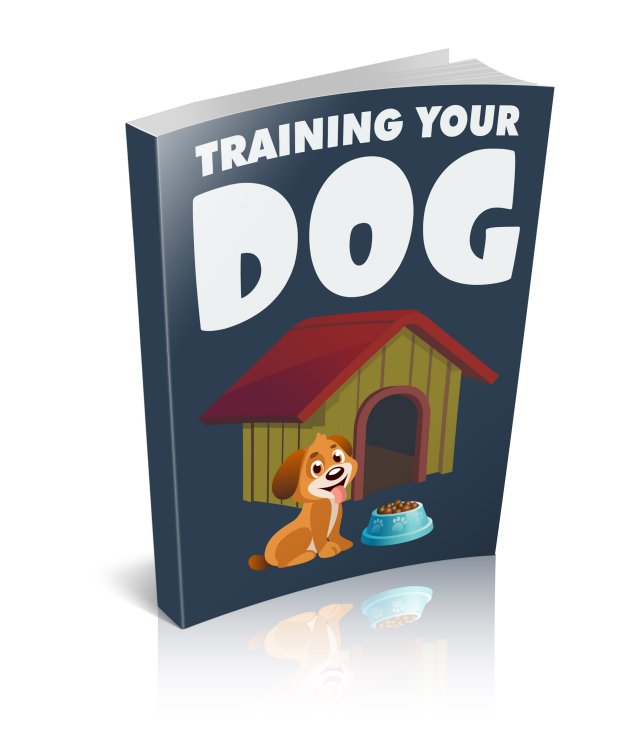 Training Your Dog eBook cover