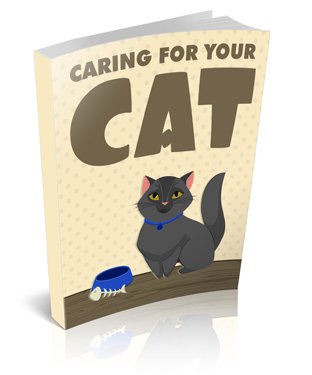 caring for your cat1 7