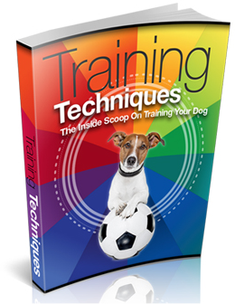 Training Techniques eBook cover