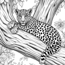 Leopard Lounging on a Sturdy Tree Branch 320